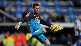 fabri