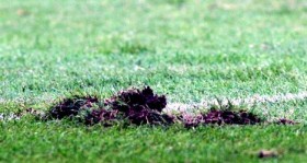 galatasaray-tff-den-mersin-idman-yurdu-macinin-tehirini-isteyecek-futbolistan