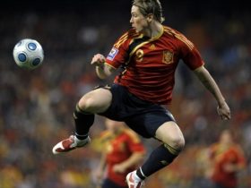 fifa 2010 resimleri 152