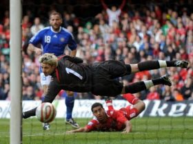 fifa 2010 resimleri 72