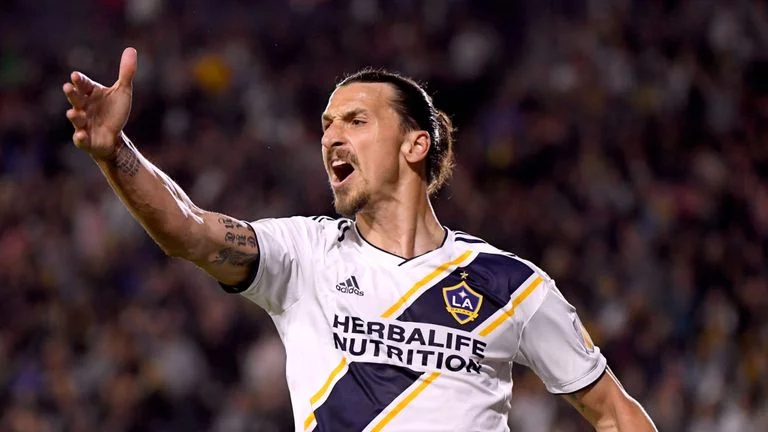 "Zlatan İbrahimovic'e Kartal pençesi yaptıracağız" 3 Tekinoktay’ın Orman’a yaptığı "Zlatan'a Ocak’ta formayı giydirelim" teklifi camiayı heyecanlandırdı!