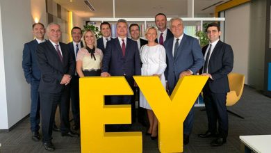 ernst young raporları nerede