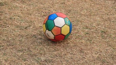 Çim sahada duran bir futbol topu